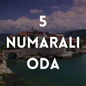 5 NUMARALI ODA